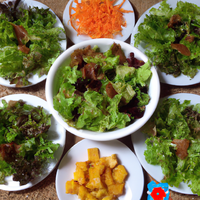 foto da receita Salada colorida 1