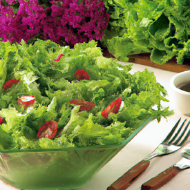 salada de folhas