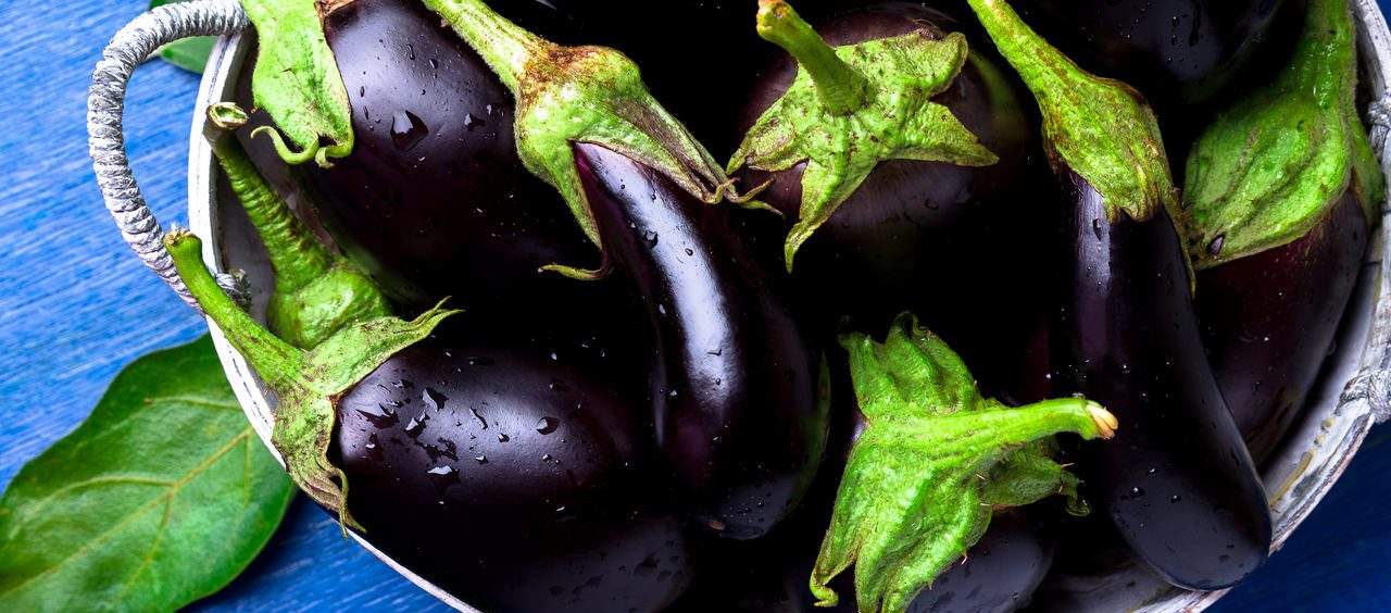 berinjela