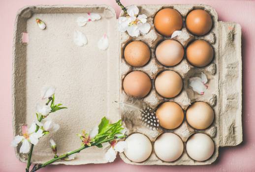 Dieta do ovo 3 dias: Cardápio do desafio do ovo - Vitat