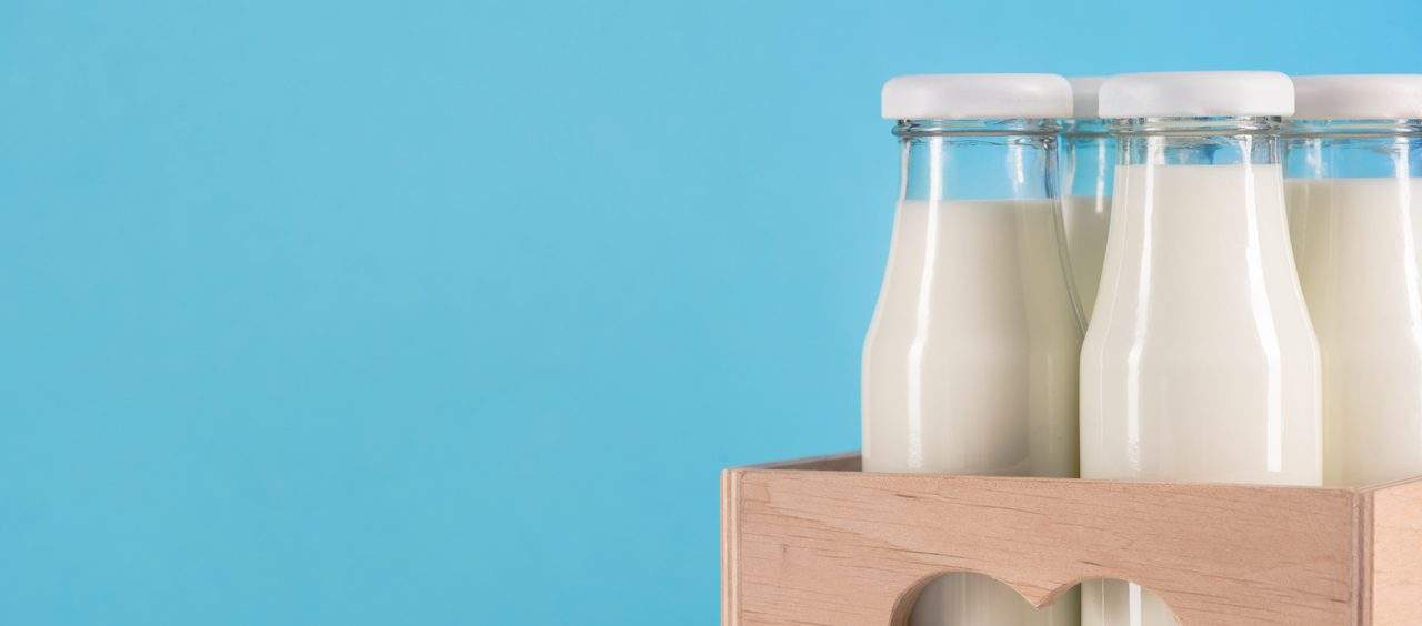 cálcio intolerância alimentar