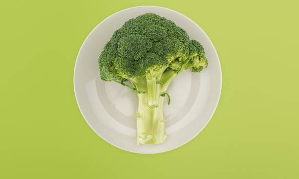 Brócolis: Motivos para comer o vegetal todos os dias