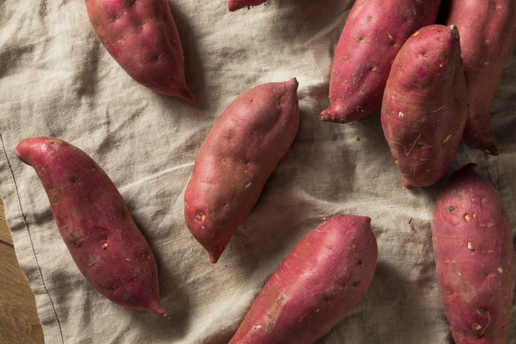 Batata-doce solta o intestino? Conheça a nova mania do TikTok - Vitat