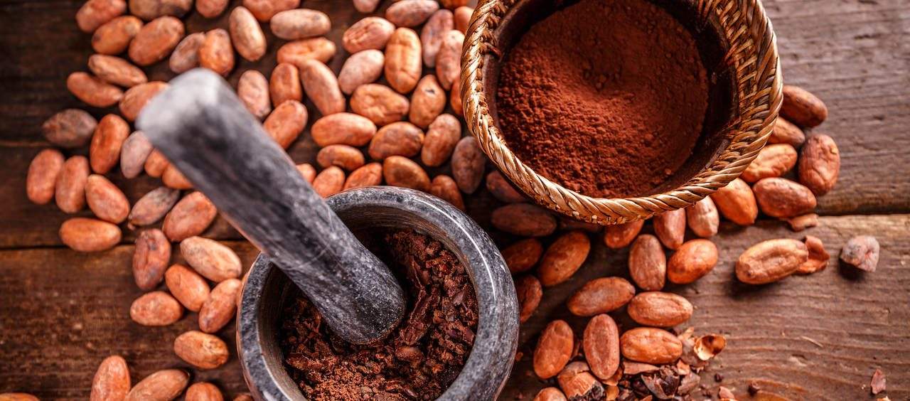 Nibs de cacau O que são, benefícios e como consumir Vitat