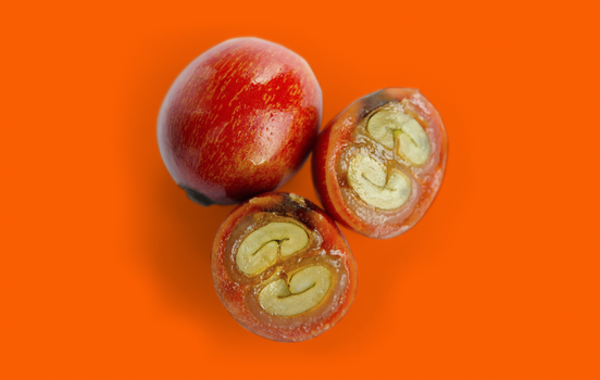 Camu-Camu: Os benefícios da fruta rica em vitamina C