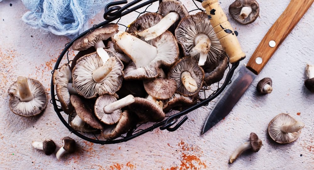 Os benefícios do cogumelo na culinária 