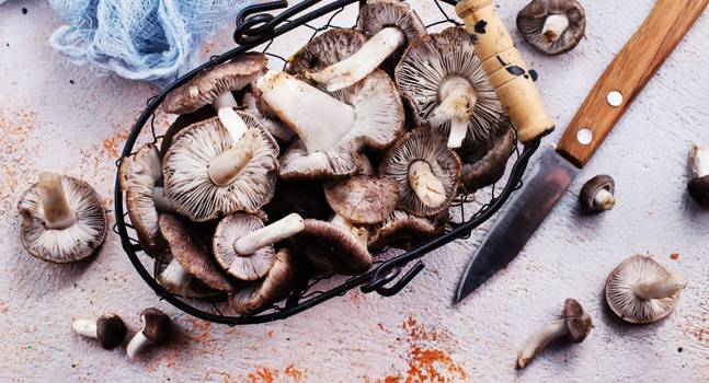 Cogumelos: Tipos, benefícios e como incluir na dieta