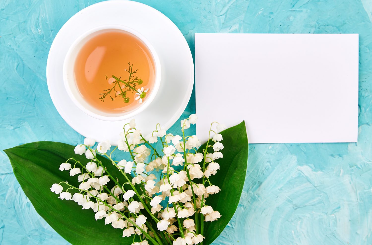 Chá de camomila ajuda a dormir melhor? Descubra