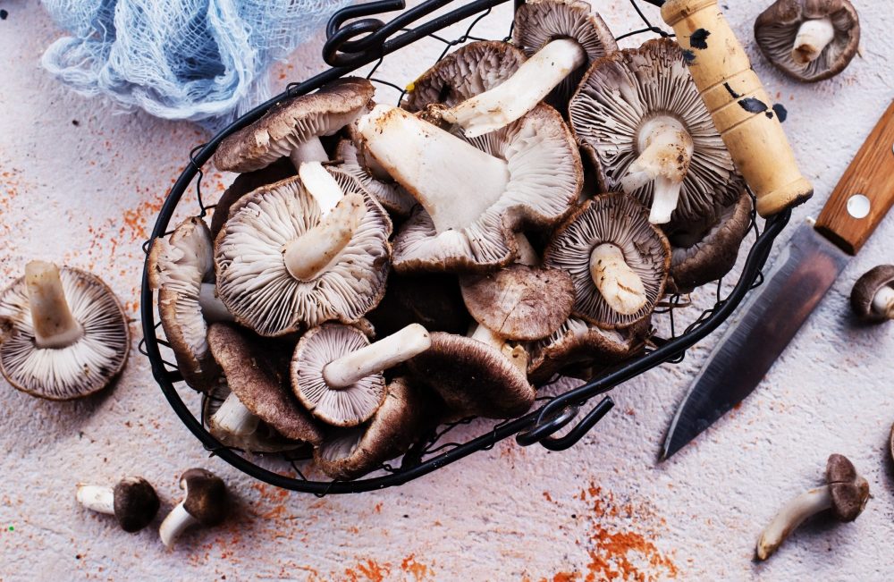 Carne está cara? Opções de proteínas para o prato