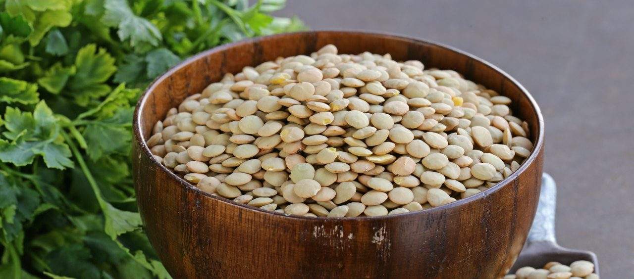 Comer lentilha para emagrecer como preparar lentilha