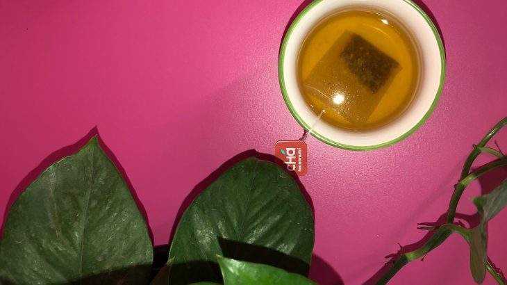 bebida refrescante com chá tecnonutri