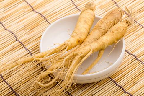 Ginseng emagrece? Saiba o que diz a ciência