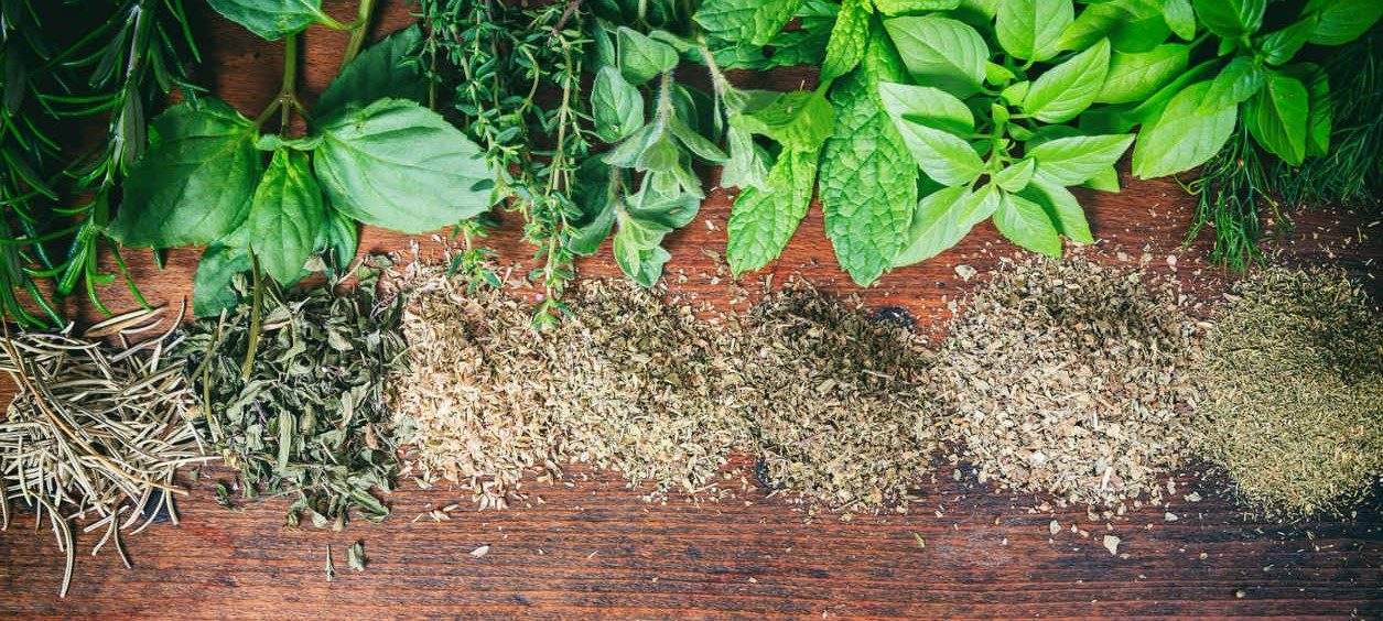 ervas para a saúde do cérebro