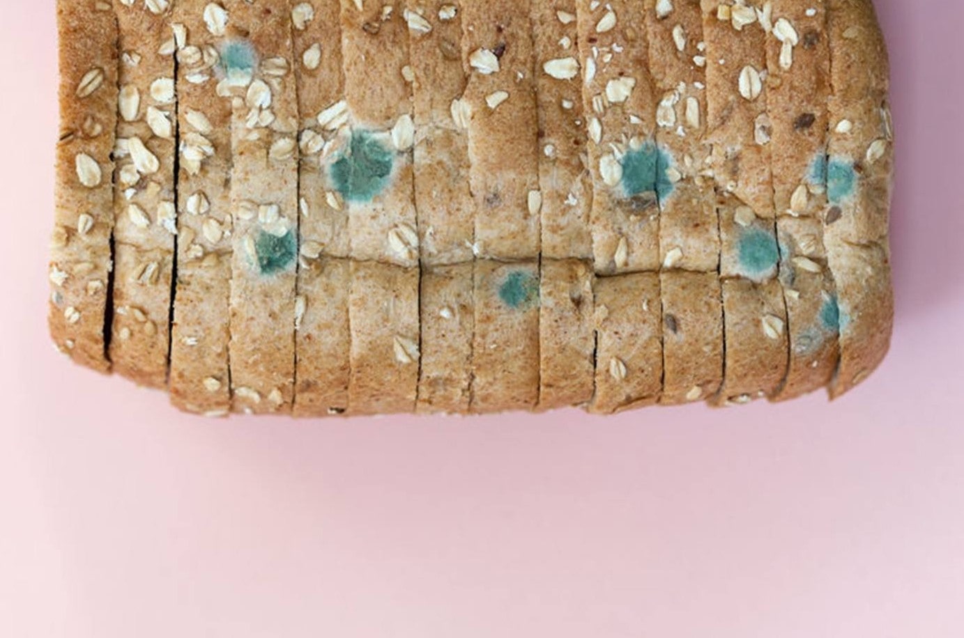 Pão mofado: O que acontece quando você come?