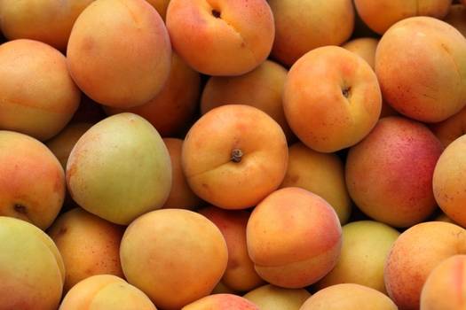 Damasco: Conheça os benefícios da fruta - Vitat