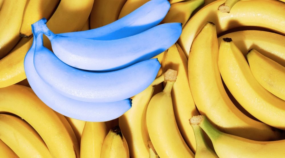 Blue Banana - wide 7