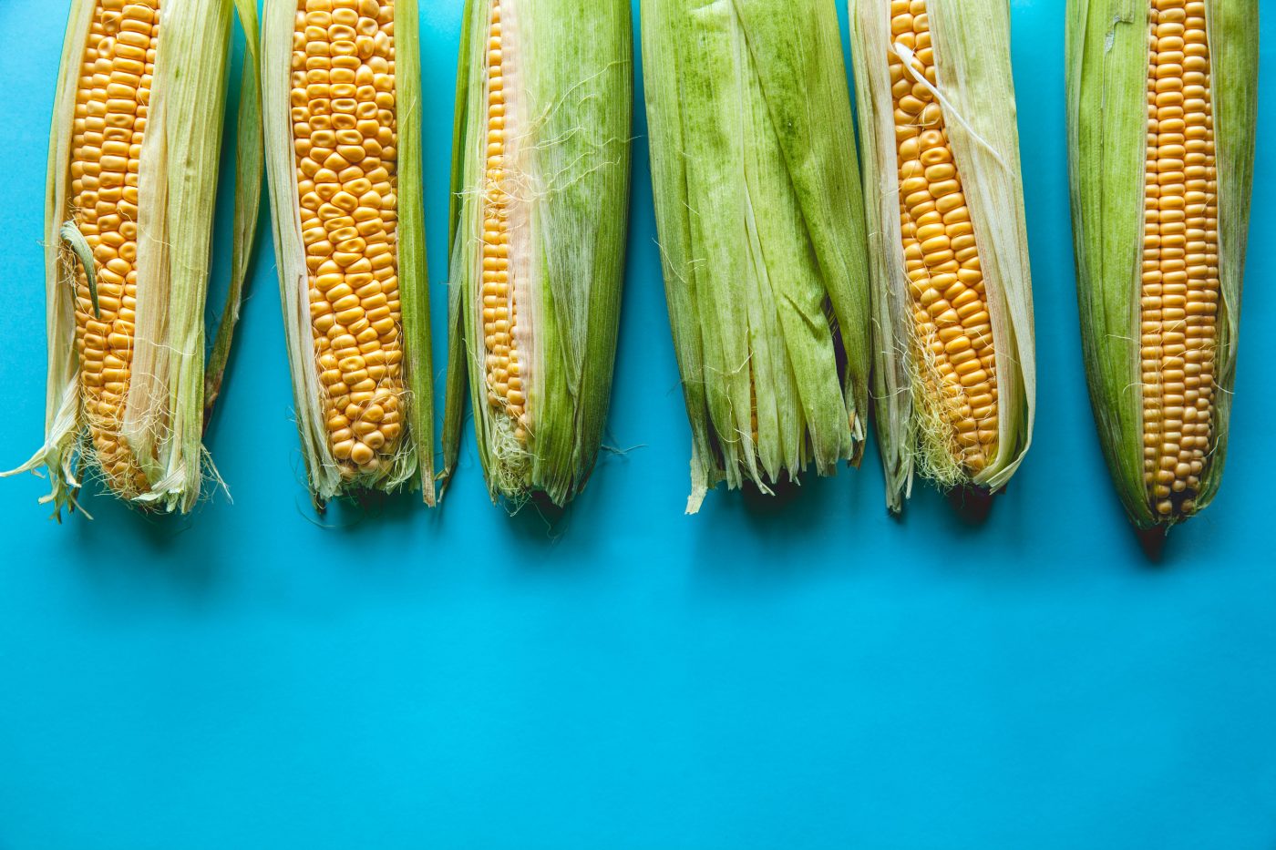 Lectina: O que é, benefícios e como consumir