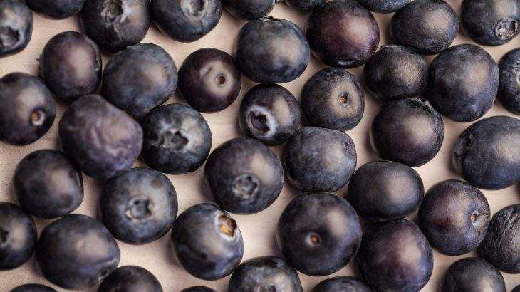 blueberry mirtilo
