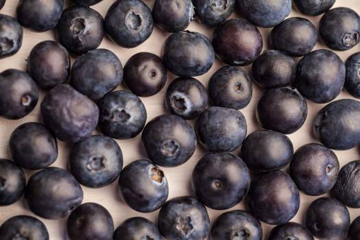 Mirtilo (blueberry) : Conheça os benefícios da fruta