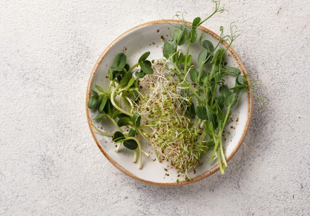 Microverdes: O que são e como consumir