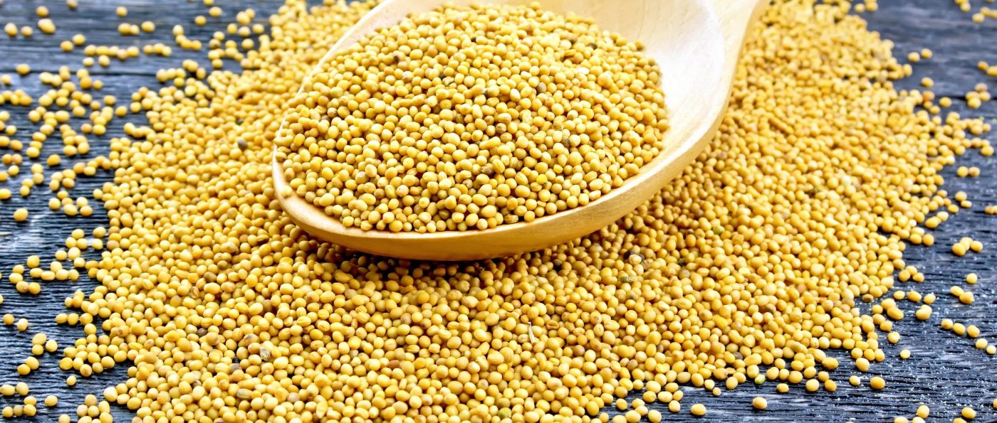 Mostarda: Benefícios da planta e sementes