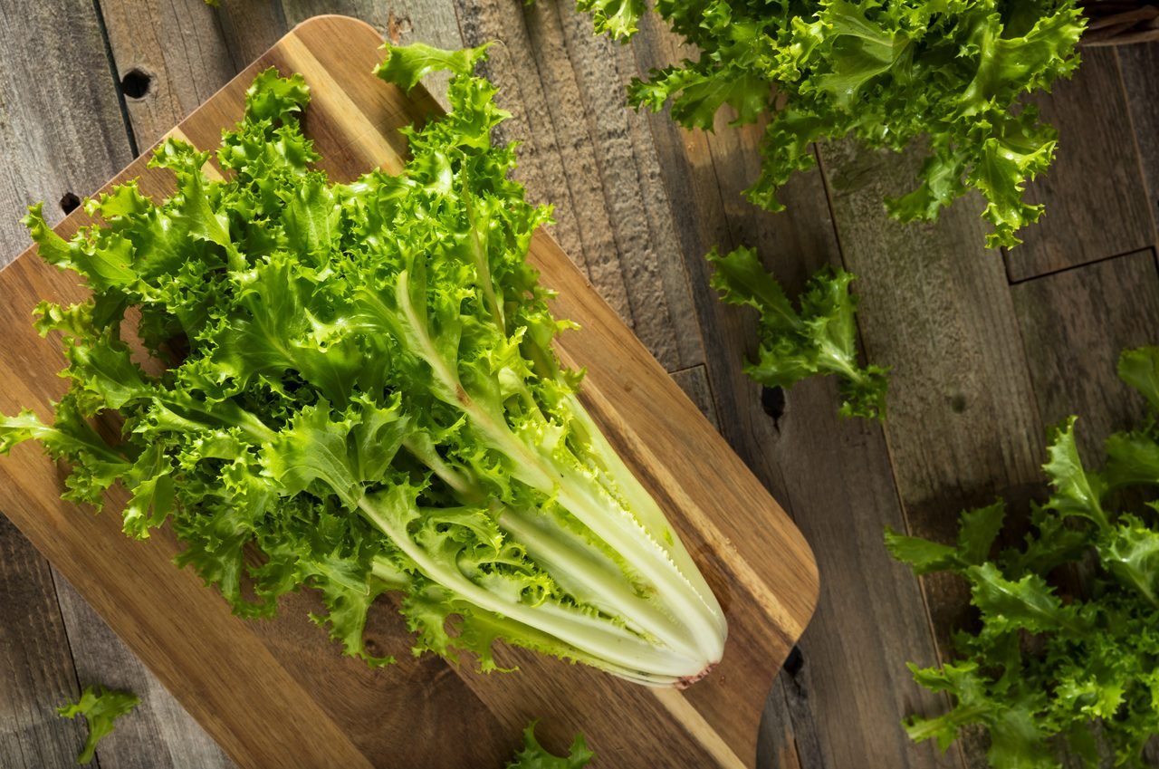 Escarola Benefícios E Como Consumir O Vegetal Vitat 3286