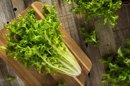 Escarola: Benefícios e como consumir o vegetal