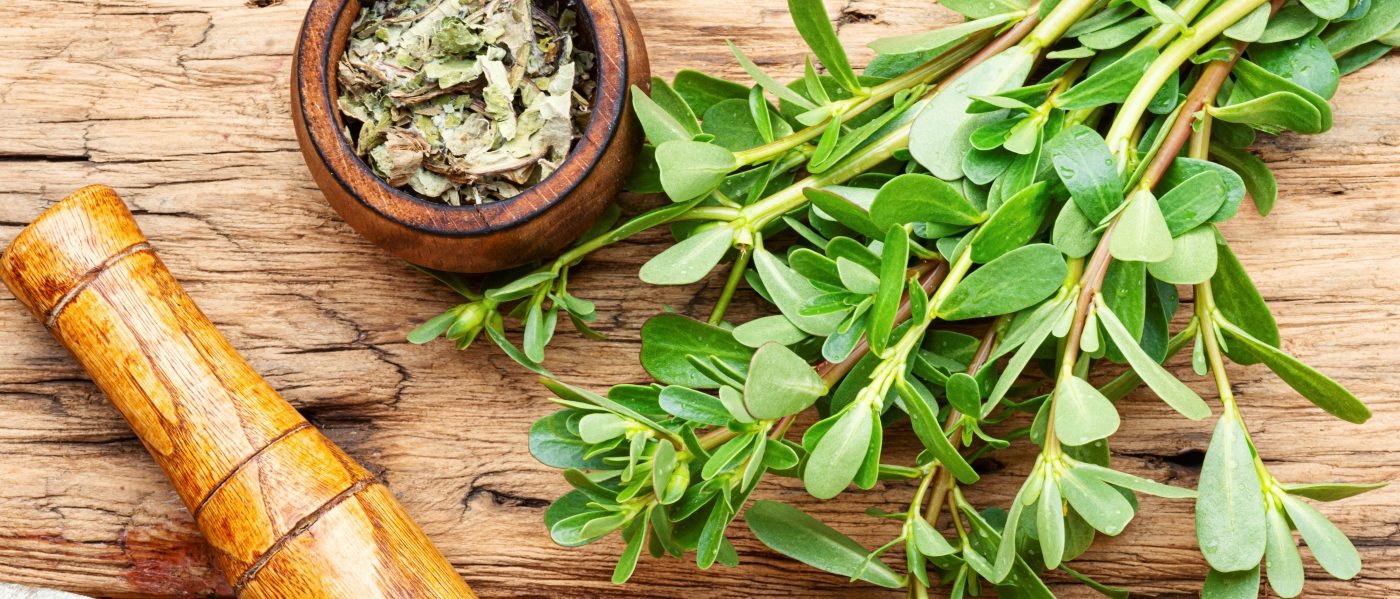 Barbatimão: Para que serve e como consumir o chá