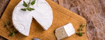 Guia dos queijos com menos lactose