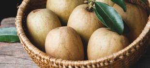 Sapoti: Conheça os benefícios da fruta