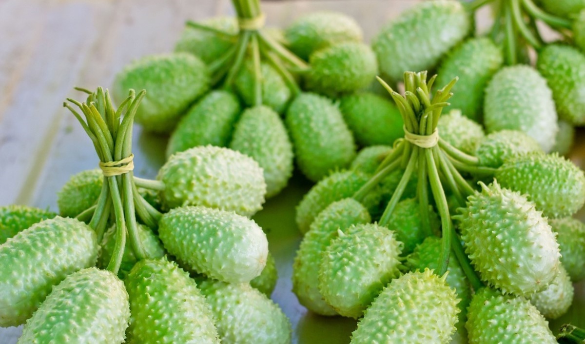 Maxixe: Benefícios, como escolher e fazer receitas deliciosas