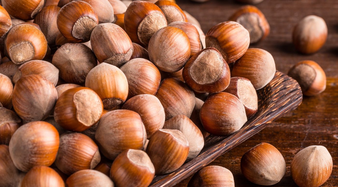 Avelã: propriedades e benefícios da oleaginosa