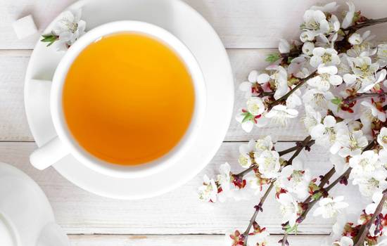 Chá amarelo: Propriedades e benefícios da bebida