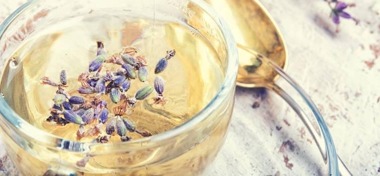Chá de alfazema: Propriedades e benefícios