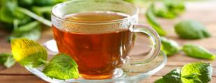 Chá de urtiga: Benefícios que você precisa conhecer