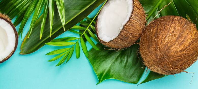 Coco: Propriedades e benefícios da fruta
