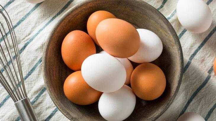diferença entre o ovo marrom e o ovo branco