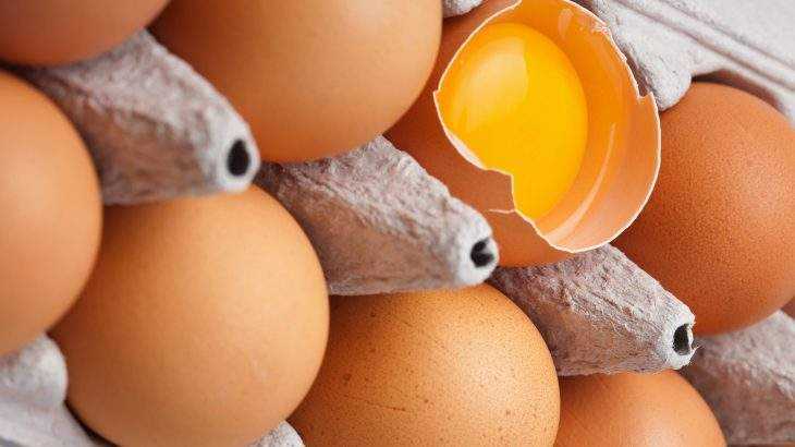 vitamina k2 quantos ovos posso comer por dia