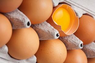 Quantos ovos posso comer por dia? Especialista responde