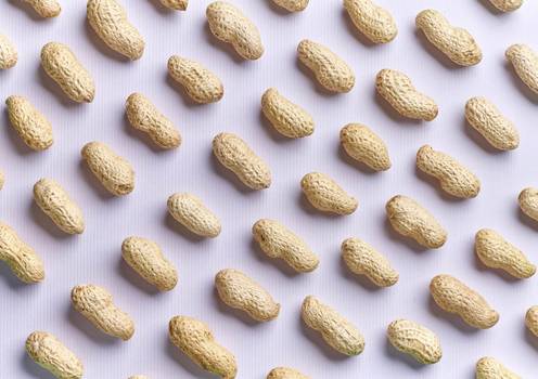 Amendoim: Benefícios que você precisa conhecer