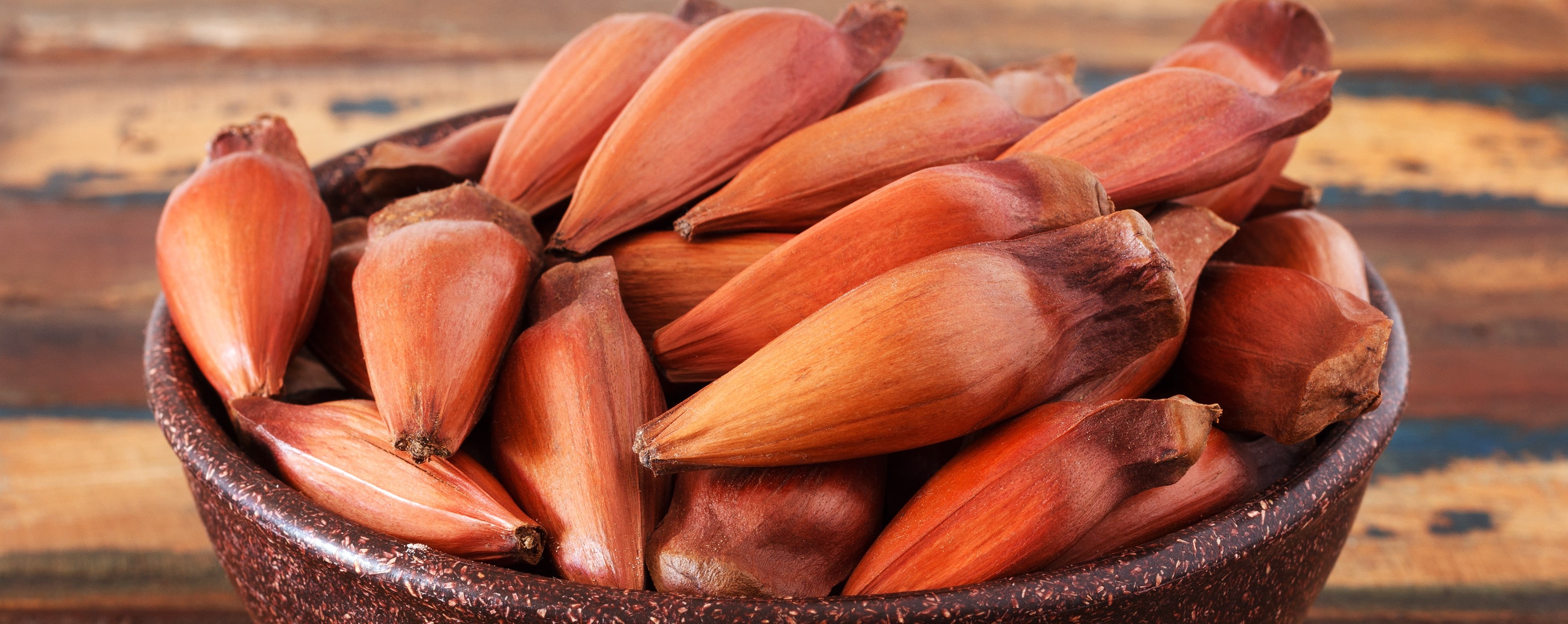 Pinhão: Os benefícios da semente da araucária