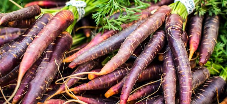 Cenoura roxa: Benefícios e propriedades do vegetal