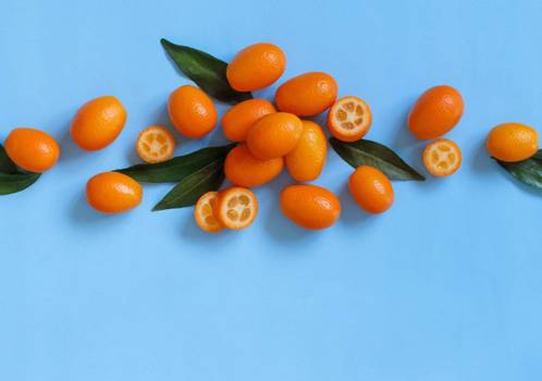 Laranja kinkan: Conheça os benefícios da fruta cítrica