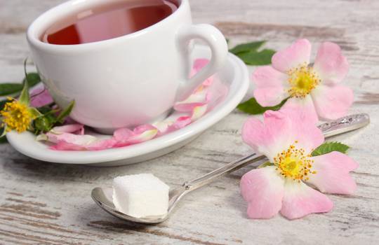 Dicas de como usar chá de hibisco para emagrecer