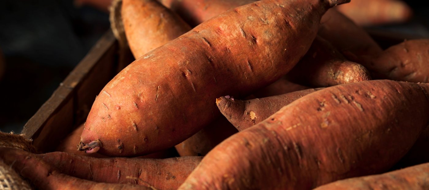 Mangarito: O que é, propriedades e benefícios