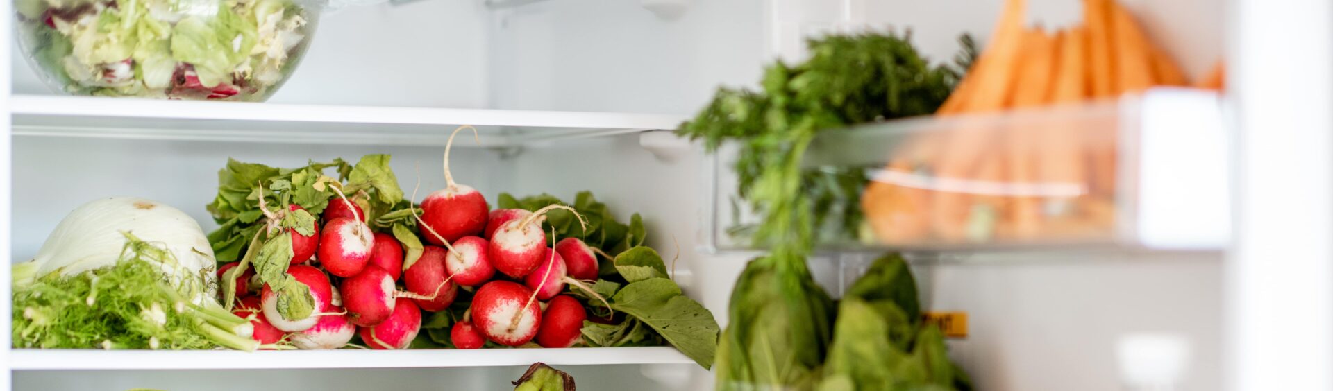 geladeira cheia de frutas e vegetais