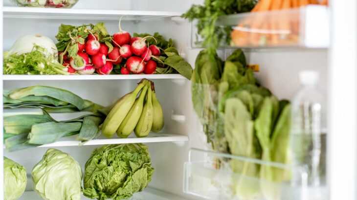 geladeira cheia de frutas e vegetais