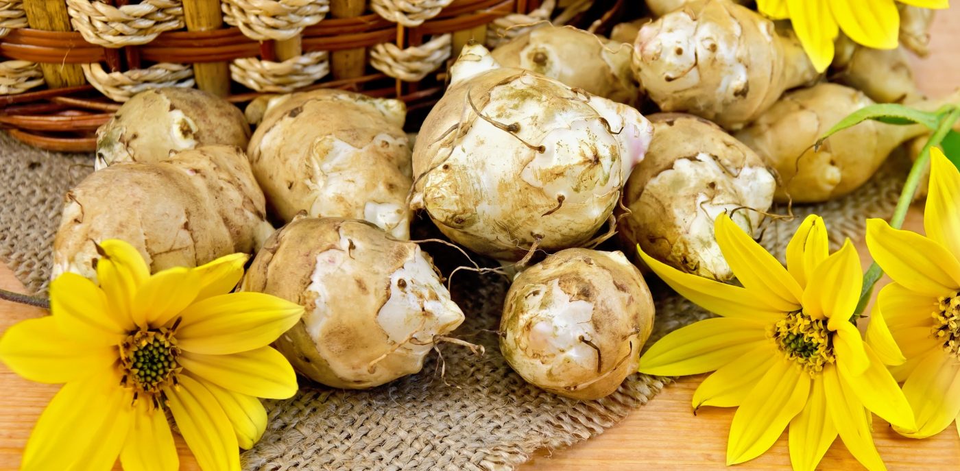 Tupinambo: O que é e benefícios do vegetal