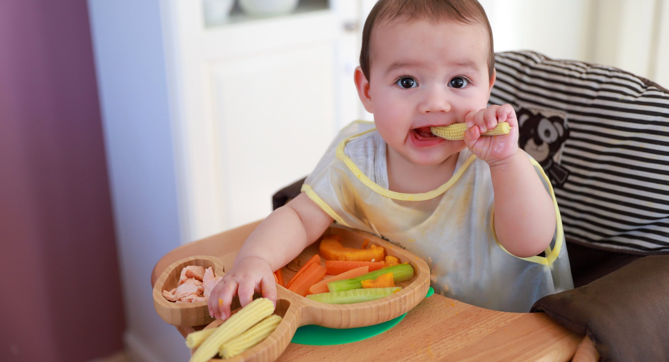 Método BLW: Como aplicá-lo na introdução alimentar dos bebês - Vitat