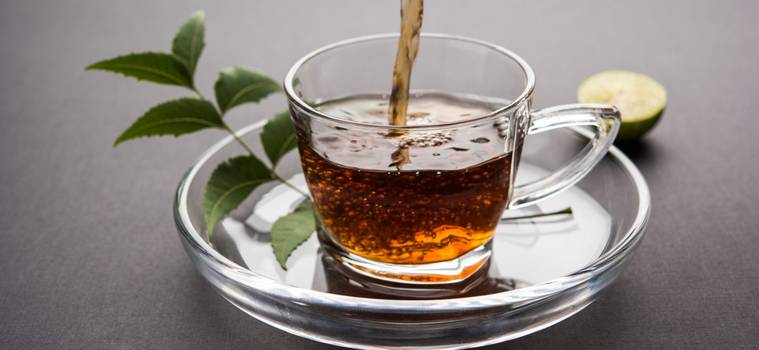 Chá de agoniada: Propriedades e benefícios da planta medicinal